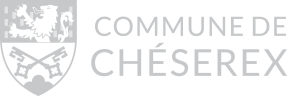 Logo FondationGoblet